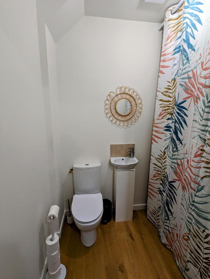 Douceur, Elegance Au Coeur D'Albi Apartment Екстериор снимка