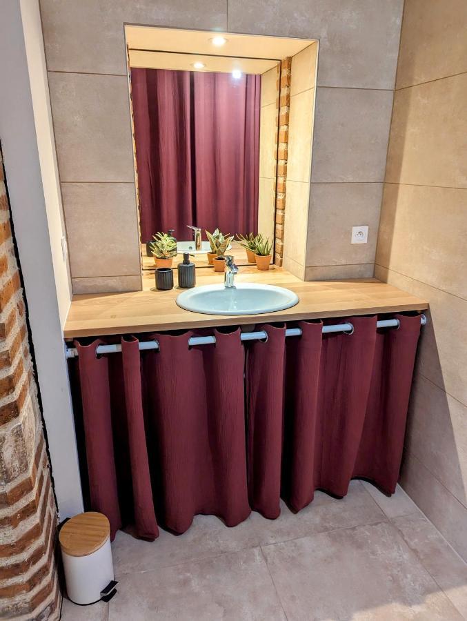 Douceur, Elegance Au Coeur D'Albi Apartment Екстериор снимка